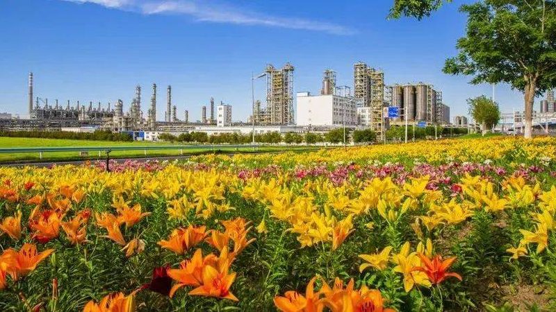 浙江改性塑料生产规范标准：合规与创新的平衡之道