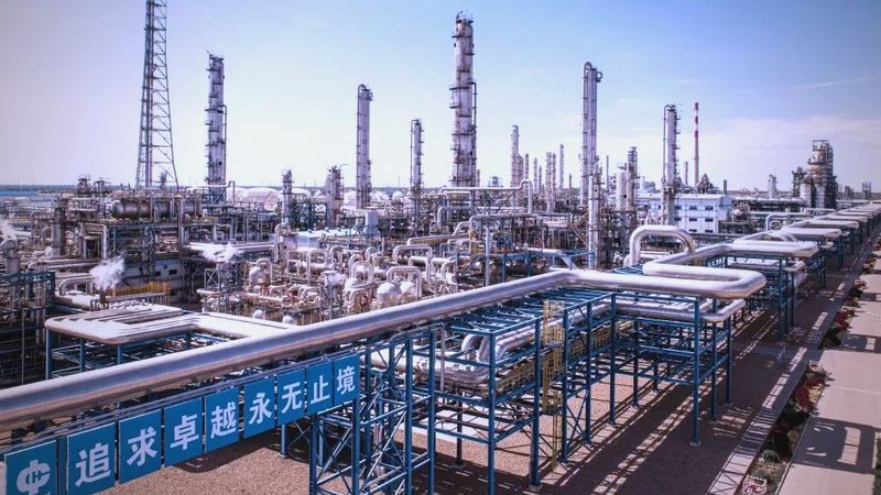 电池材料行业：揭秘龙头公司排名背后的秘密